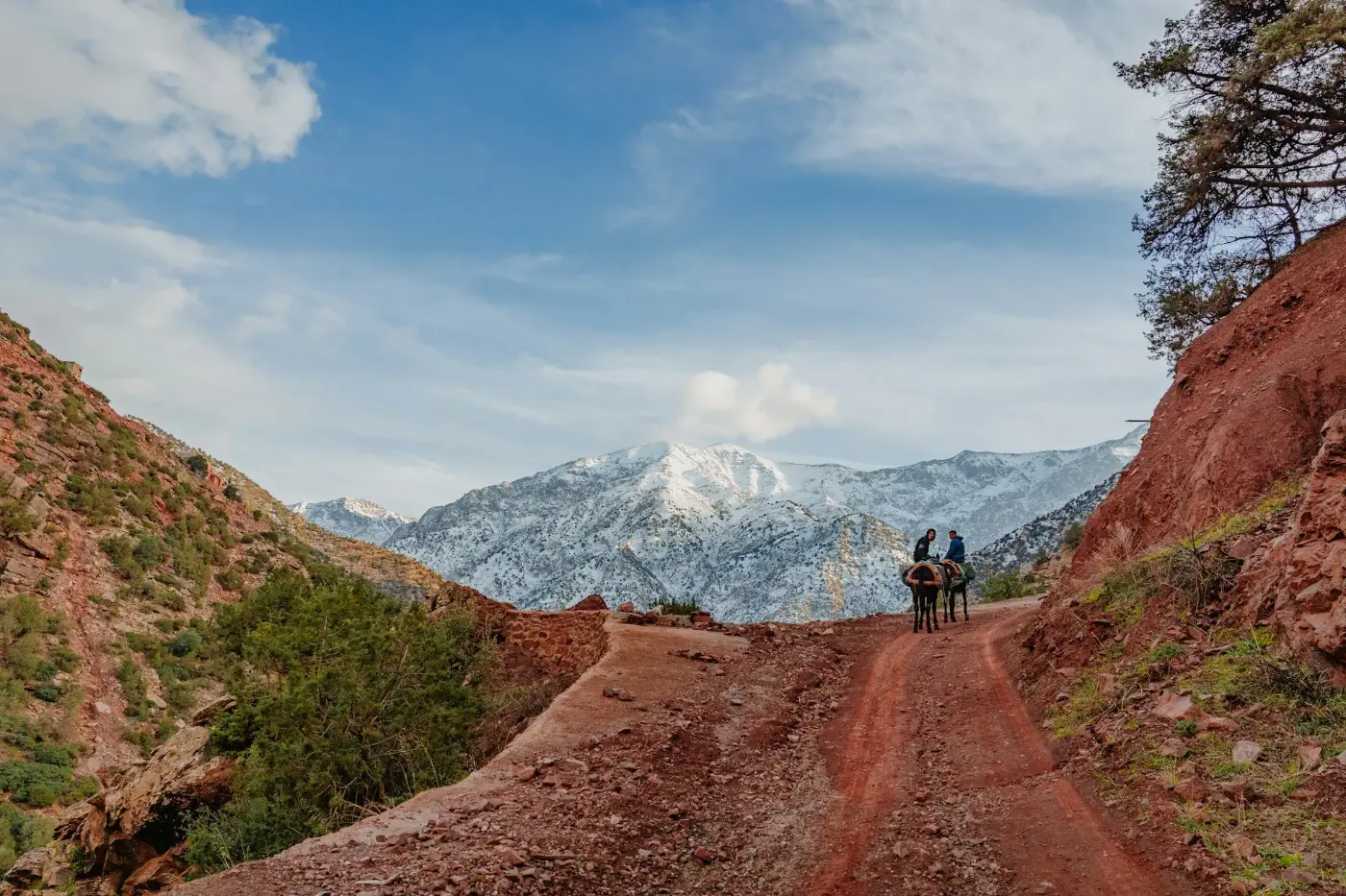 Two people riding mules along a red dirt mountain track towards snow-capped Atlas peaks